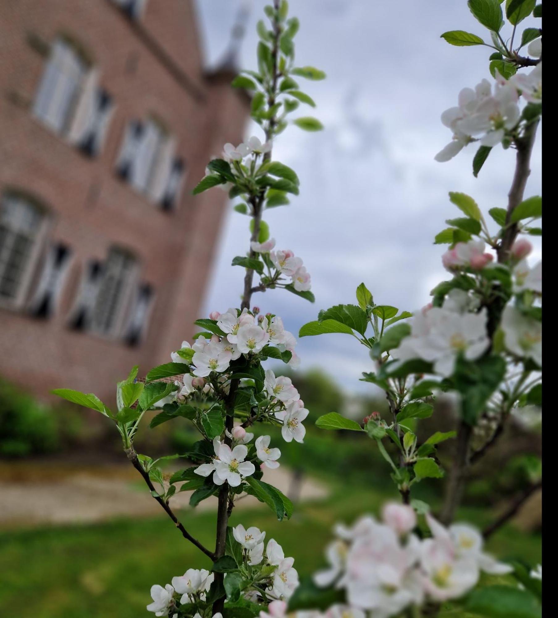 Haelen Kasteel Aldenghoor Bed & Breakfast エクステリア 写真