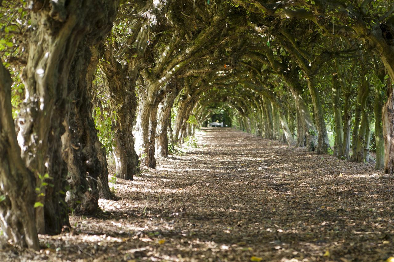 Haelen Kasteel Aldenghoor Bed & Breakfast エクステリア 写真